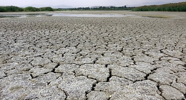 Ziraat Odaları Birliği'nden kuraklık hakkında: Bazı ürünleri Türkiye'de üretemez hale gelebiliriz
