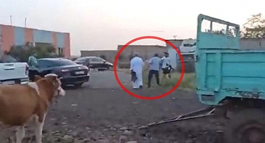 Mardin'de arazi anlaşmazlığı sebebiyle çıkan tartışmada baba ve oğul öldürüldü