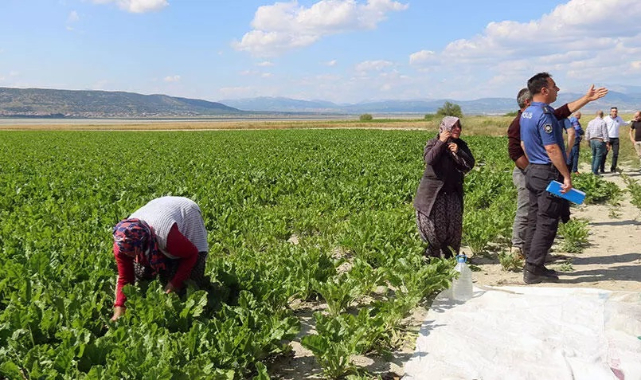 Tarlada çalışan genç kıza yorgun mermi isabet etti