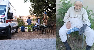 Abdest almak için çıktığı evinin önünde köpeklerin saldırısına uğrayan yaşlı adam hayatını kaybetti
