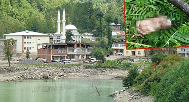 Artvin'de derede bulunan kopmuş ayağın sırrı ne? 1 DNA başvurusu