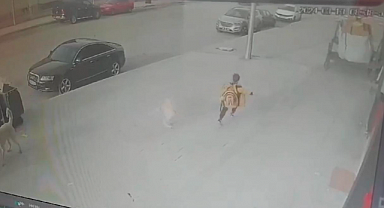 Sokak Köpekleri İlkokul Öğrencisine Saldırdı