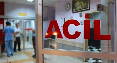 Bingöl'de Otomobil Ata Çarptı: 1 Ölü, 5 Yaralı