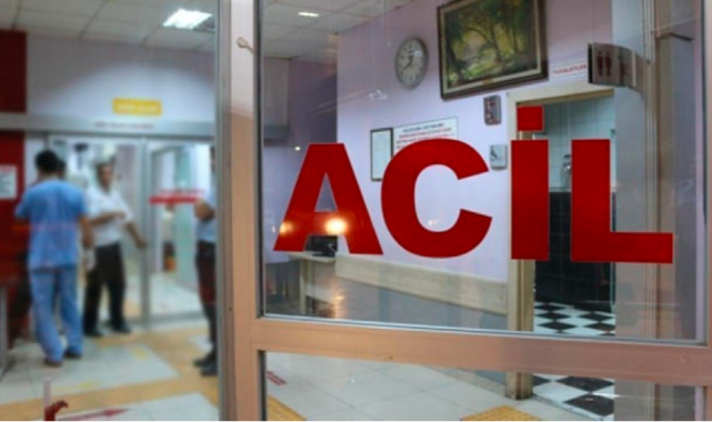 Bingöl'de Otomobil Ata Çarptı: 1 Ölü, 5 Yaralı