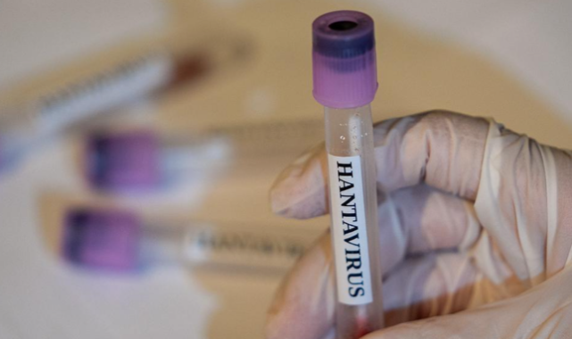 Hantavirüs Alarmı Verilen Gemideki 3 Türk Türkiye'ye Dönüyor