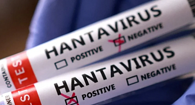 İstanbul'da Hantavirüs Alarmı: Gemi Yolcuları Evlerinde Karantinaya Alındı