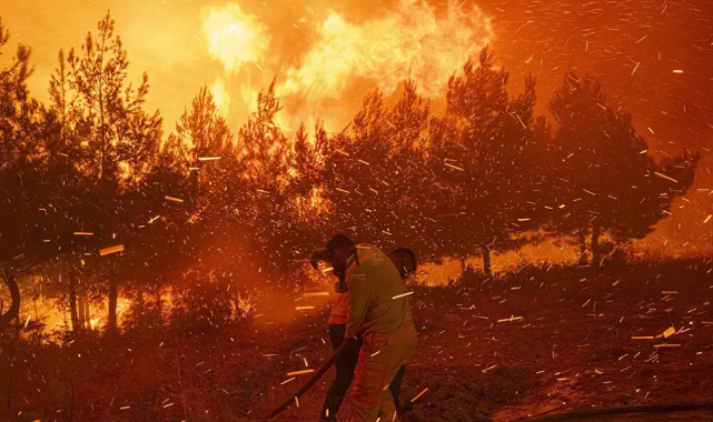 El Nino Sıcakları Yangın Riskini Artırıyor