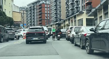 Seyrantepe'de Motosiklete Bağladığı Köpeği Metrelerce Koşturdu: 8 Bin 678 Lira Ceza Kesildi