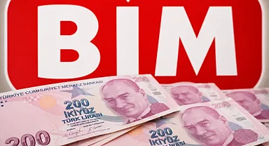 Türkiye'nin Vergi Rekortmeni Kurumları Açıklandı! BİM'in Sıralaması Dikkat Çekti