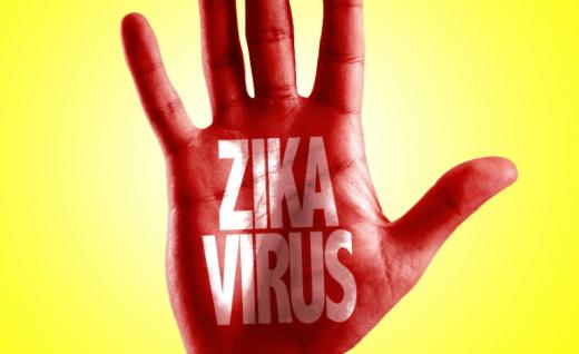Zika Virüsü Rusya'da da Görüldü