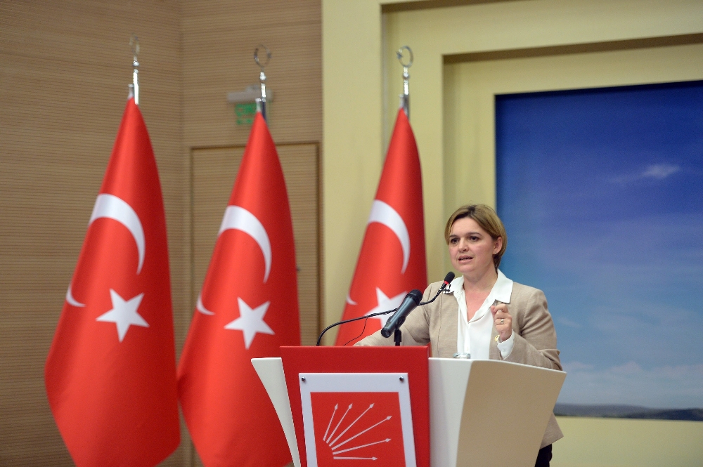 CHP Tarafından Vize Yorumu