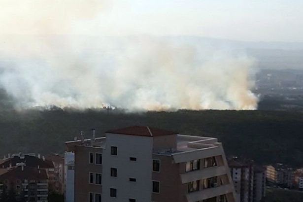 ODTÜ Ormanında Yangın Çıktı