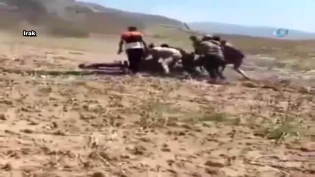 Barzani’nin Peşmerge Grubuna Ayı Saldırdı: Yaralılar Var!