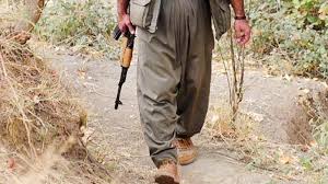 On Yıldır Aranan PKK'lı Terörist Yakalandı