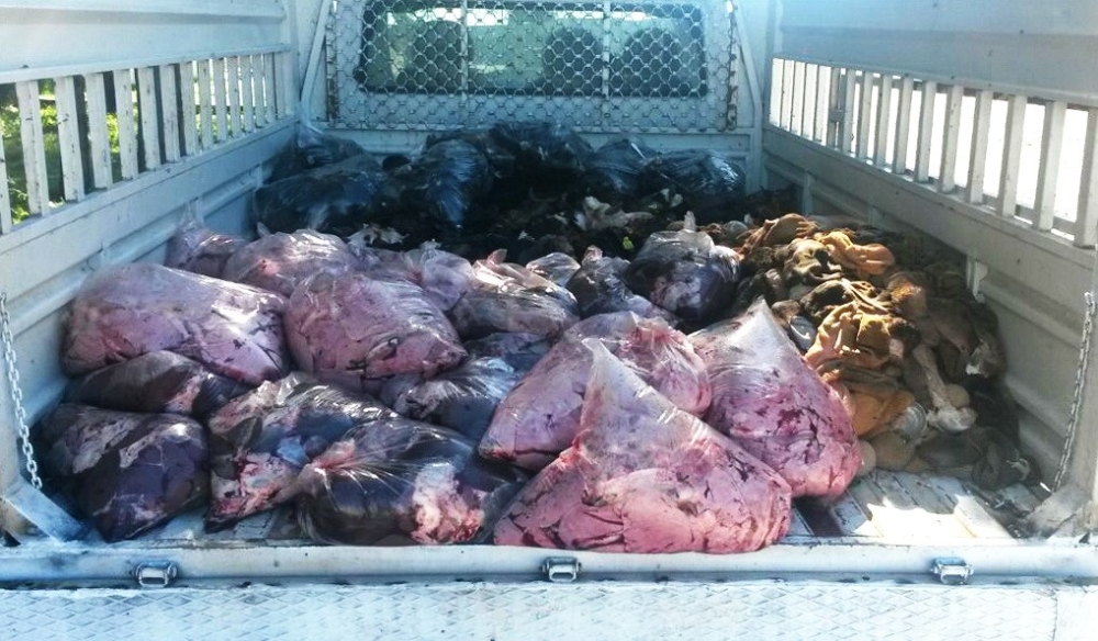 İnsanları Zehirleyeceklerdi: 1 Ton Hayvansal Atık!