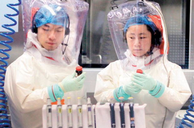 Ebola Sanıldığından Daha Dirençli