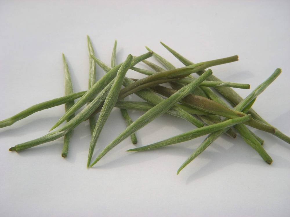 Beyaz Çayın Kilosu 400 TL