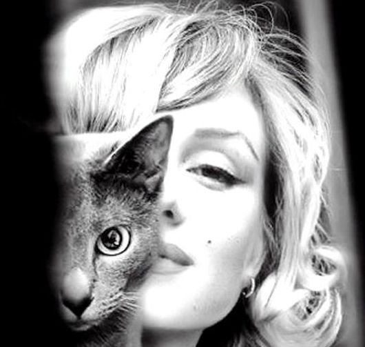 Kedili Kadınlar Bir Adım Önde