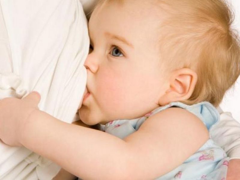 Anne Sütünü Arttıran 10 Besin