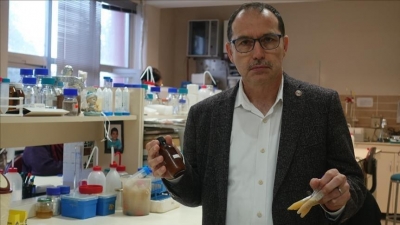 AIDS Propolis İle Tedavi Edilecek