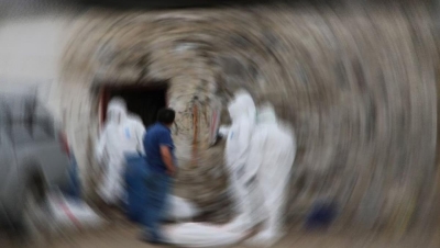 Balıkesir'de İnek Kuduzdan Öldü Mahalle Karantina Altında!