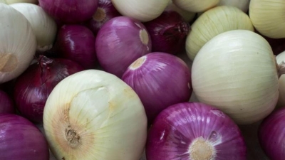 Soğan Niçin Göz Yaşartır? İşte Sırrı…