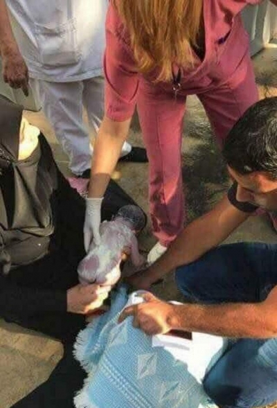 Büyük Skandal! Suriyeli Mülteci Kadın Hastaneye Alınmadı Kapıda Doğum Yaptı!