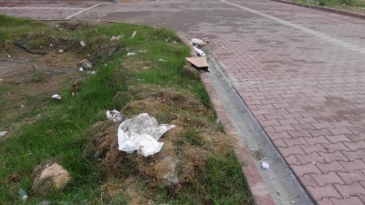 Çocuklar Topraktan Bebek Cesedi Çıkardılar