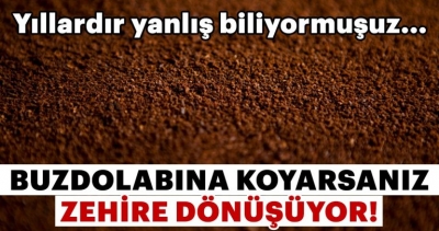 Dikkat! Bunları Buzdolabına Koyarsanız Zehire Dönüşüyor
