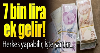Herkes Yapabilir! İşte 7 Bin Lira Ek Gelir Elde Etmenin Yolları