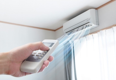 Klimalardaki Büyük Tehdit: Lejyoner