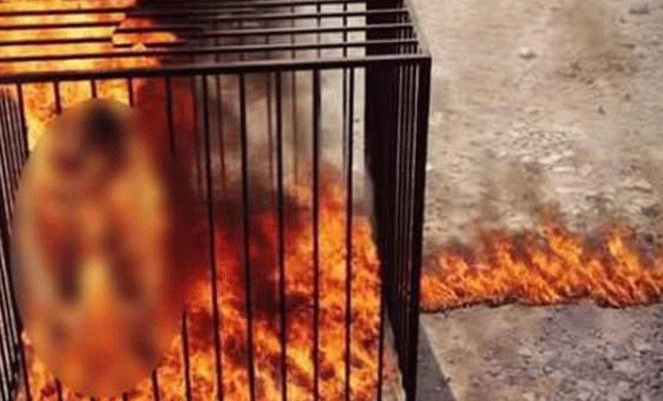 Nezarethanede 150 Kişilik Bir Grup Çocuk Kaçırmakla Suçlanan 2 Kişiyi Cayır Cayır Yaktı